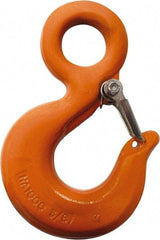 CM - Chain Grade 100, 5,700 Lbs. Load Limit Eye Rigging Hook with Latch - 1.06 Inch Hook Throat, 4.09 Inch Reach, 1.13 Inch Eye Inside Diameter, 5/16 Inch Chain Diameter, 5.63 Inch Overall Length, 1/2 Inch Eye Thickness - All Tool & Supply