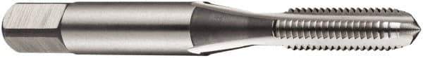 DORMER - 1-8 BSW 4 Flute Bright Finish High Speed Steel Straight Flute Standard Hand Tap - Bottoming, Right Hand Thread, 110mm OAL, 50mm Thread Length, Oversize - Exact Industrial Supply