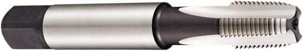 DORMER - 3/4-14 NPT Thread, 5 Flute Standard Pipe Tap - 140mm OAL, 26mm Thread Length, Bright Finish, Cobalt - Exact Industrial Supply