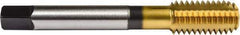 Union Butterfield - #4-40 UNC 2B/3B H5 Thread Limit Bottoming Thread Forming Tap - Powdered Metal High Speed Steel, TiN Finish, 1-7/8" OAL, 5/16" Thread Length, Right Hand Thread, Series 1641 - All Tool & Supply