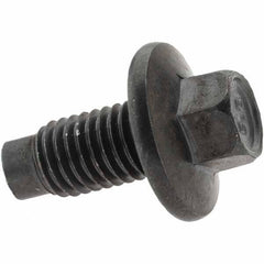 Value Collection - Pilot Point Oil Drain Plug - M12 Thread - All Tool & Supply