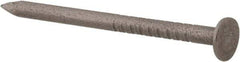 Made in USA - 3D, 14 Gauge, 1-1/4" OAL Common Nails - Smooth Shank, 18-8 Stainless Steel - All Tool & Supply