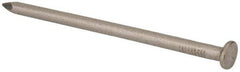 Made in USA - 20D, 6 Gauge, 4" OAL Common Nails - Smooth Shank, T304 Stainless Steel - All Tool & Supply