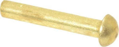 Made in USA - 1/8" Body Diam, Round Brass Solid Rivet - 3/4" Length Under Head - All Tool & Supply