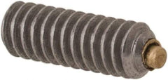 Made in USA - #2-56 UNC, 1/4" Length of Thread, Soft Tip Point Set Screw - Grade 18-8 Stainless Steel - All Tool & Supply