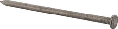 Value Collection - 20D, 6 Gauge, 4" OAL Common Nails - Ring Shank, Grade 2 Steel, Bright Finish - All Tool & Supply