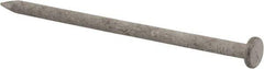 Value Collection - 16D, 8 Gauge, 3-1/2" OAL Common Nails - Ring Shank, Grade 2 Steel, Galvanized Finish - All Tool & Supply