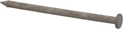 Value Collection - 8D, 10 Gauge, 2-1/2" OAL Common Nails - Ring Shank, Grade 2 Steel, Galvanized Finish - All Tool & Supply