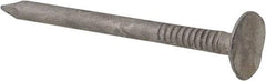 Value Collection - 11 Gauge, 1-3/4" OAL Roofing Nails - Ring Shank, Grade 2 Steel, Galvanized Finish - All Tool & Supply