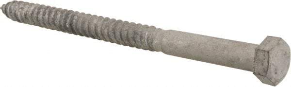 Value Collection - 1/2" Screw, 7" Length Under Head, Steel, Hex Head Lag Screw - Hot Dipped Galvanized, AISI 1006, ASME B18.2.1 Fastner, Grade 1006-1022 - All Tool & Supply