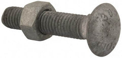 Value Collection - 1/2-13 UNC 2-1/2" Length Under Head, Standard Square Neck, Carriage Bolt - 1006-1050 Steel, Galvanized Zinc-Plated Finish - All Tool & Supply