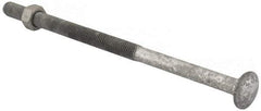 Value Collection - 1/2-13 UNC 10" Length Under Head, Standard Square Neck, Carriage Bolt - 1006-1050 Steel, Galvanized Zinc-Plated Finish - All Tool & Supply