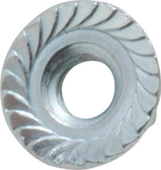 Value Collection - 1/4-20, 19/32" Flange Diam, Serrated Flange Nut - Grade Grade 2 Steel, Zinc-Plated Finish, 0.236" Flange Height - All Tool & Supply