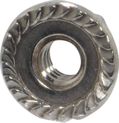 Value Collection - #10-24, 1/2" Flange Diam, Serrated Flange Nut - Grade 18-8 Stainless Steel, 7/32" Flange Height - All Tool & Supply