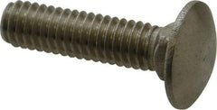 Value Collection - 5/16-18 UNC 1-1/4" Length Under Head, Standard Square Neck, Carriage Bolt - 18-8 Stainless Steel, Uncoated - All Tool & Supply