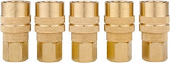 Value Collection - 5 Piece 1/4" Body 1/4 NPT 145 psi Brass Industrial Pneumatic Coupling Plug Set - All Tool & Supply