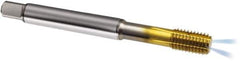 Guhring - M10x1.50 Metric 6HX D10/D11 Thread Limit Modified Bottoming Thread Forming Tap - Powdered Metal High Speed Steel, TiN Finish, 100mm OAL, Series 323 - All Tool & Supply