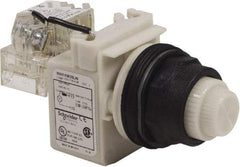 Schneider Electric - 120 V White Lens LED Press-to-Test Indicating Light - Round Lens, Screw Clamp Connector, Corrosion Resistant, Dust Resistant, Oil Resistant - All Tool & Supply