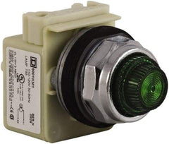 Schneider Electric - 120 VAC Green Lens Indicating Light - Screw Clamp Connector - All Tool & Supply