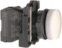 Schneider Electric - 110-120 VAC at 50/60 Hz White Lens LED Pilot Light - Round Lens, Screw Clamp Connector, 30mm Wide, Vibration Resistant, Water Resistant - All Tool & Supply