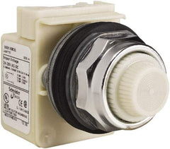 Schneider Electric - 28 V White Lens Indicating Light - Screw Clamp Connector - All Tool & Supply