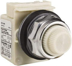 Schneider Electric - 120 VAC White Lens Indicating Light - Screw Clamp Connector - All Tool & Supply