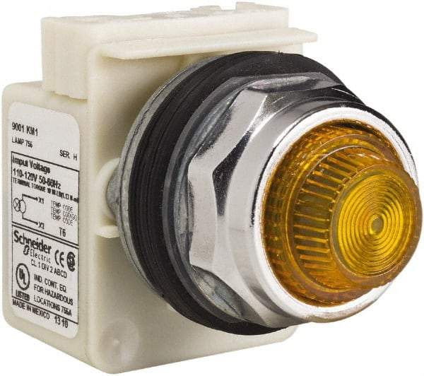 Schneider Electric - 120 VAC Amber Lens Indicating Light - Screw Clamp Connector - All Tool & Supply