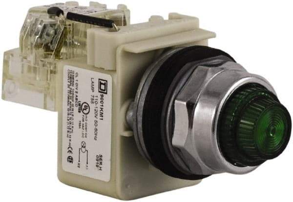 Schneider Electric - 120 VAC Green Lens Indicating Light - Screw Clamp Connector - All Tool & Supply