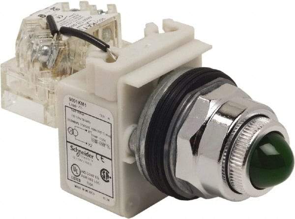 Schneider Electric - 120 VAC Green Lens Indicating Light - Screw Clamp Connector - All Tool & Supply