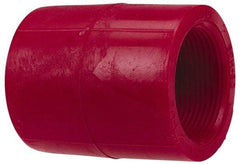 NIBCO - 1-1/2" PVDF Plastic Pipe Adapter Coupling - Schedule 80, S x FIPT End Connections - All Tool & Supply