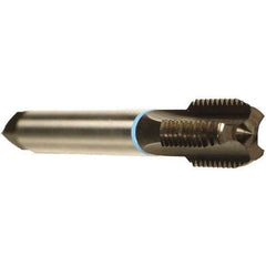 Emuge - 3/4-14" BSPP, 4 Flutes, Modified Bottoming Chamfer, Nitride Coated, Cobalt British Standard Pipe Tap - 0.7874" Shank Diam, 0.6299" Square Size, Series Rekord A - Exact Industrial Supply