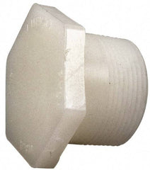 NIBCO - 2" PVDF Plastic Pipe Threaded Plug - Schedule 80, MIPT End Connections - All Tool & Supply