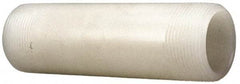 NIBCO - 2" Pipe, 6" Long PVDF Threaded Plastic Pipe Nipple - Schedule 80, Natural - All Tool & Supply