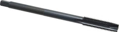 Kennametal - M12x1.75 Metric Coarse 3 Flute D6 Oxide Finish High Speed Steel Spiral Point Extension Tap - Plug Chamfer, 6" OAL, 6H Class of Fit - All Tool & Supply