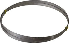 Starrett - 8 to 12 TPI, 11' Long x 3/4" Wide x 0.035" Thick, Welded Band Saw Blade - Bi-Metal, Toothed Edge, Raker Tooth Set, Contour Cutting - All Tool & Supply