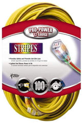 Southwire - 100', 12/3 Gauge/Conductors, Yellow/Purple Outdoor Extension Cord - 1 Receptacle, 15 Amps, 125 VAC, UL SJTW, NEMA 5-15P, 5-15R - All Tool & Supply