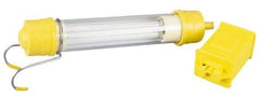 Conductix - 13 Watt, Electric, Fluorescent Portable Handheld Work Light - 1 Head - All Tool & Supply