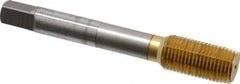 OSG - 1/2-20 UNF H5 Thread Limit Plug Thread Forming Tap - Cobalt, TiN Finish, 3-3/8" OAL, 1-21/32" Thread Length, Right Hand Thread, Series HY-PRO NRT - All Tool & Supply