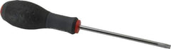 Blackhawk by Proto - TT30 Torx Driver - 5" Blade Length, 9-1/2" OAL, Ergonomic Handle - All Tool & Supply