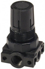 Parker - 3/8 NPT Port, Plastic Miniature Regulator - 0 to 60 psi Range, 150 Max psi Supply Pressure, 1/4" Gauge Port Thread, 2.06" Wide x 3.43" High - All Tool & Supply