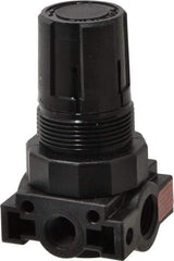 Parker - 1/4 NPT Port, Plastic Miniature Regulator - 0 to 60 psi Range, 150 Max psi Supply Pressure, 1/8" Gauge Port Thread, 1.6" Wide x 3.1" High - All Tool & Supply