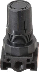 Parker - 1/4 NPT Port, Plastic Miniature Regulator - 0 to 125 psi Range, 150 Max psi Supply Pressure, 1/8" Gauge Port Thread, 1.6" Wide x 3.1" High - All Tool & Supply