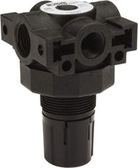 Parker - 3/8 NPT Port, Plastic Miniature Regulator - 0 to 125 psi Range, 150 Max psi Supply Pressure, 1/4" Gauge Port Thread, 2.06" Wide x 3.43" High - All Tool & Supply