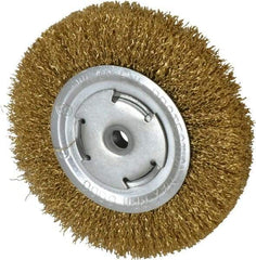 Value Collection - 6" OD, 5/8" Arbor Hole, Crimped Brass Wheel Brush - 1/2" Face Width, 1-1/8" Trim Length, 0.02" Filament Diam, 6,000 RPM - All Tool & Supply