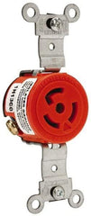 Leviton - 125 VAC, 15 Amp, 5-15R NEMA, Self Grounding Receptacle - 2 Poles, 3 Wire, Female End, Orange - All Tool & Supply