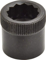 Holo-Krome - 3/4-10" Thread Uncoated Steel Allen Nut - 3/4" Diam, 3/4" Hex Key - All Tool & Supply