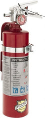 Buckeye Fire - 2.5 Lb, 1-A:10-B:C Rated, Dry Chemical Fire Extinguisher - All Tool & Supply