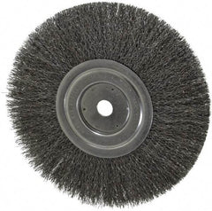 Weiler - 8" OD, 5/8" Arbor Hole, Crimped Steel Wheel Brush - 1/2" Face Width, 2-1/16" Trim Length, 0.0118" Filament Diam, 6,000 RPM - All Tool & Supply