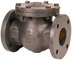 NIBCO - 2" 3% Nickel Check Valve - Flanged, 200 WOG - All Tool & Supply