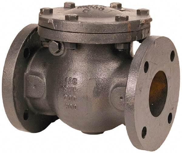 NIBCO - 5" Cast Iron Check Valve - Flanged, 200 WOG - All Tool & Supply